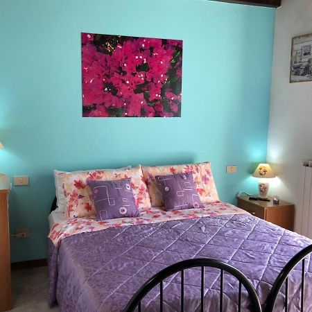 Oasi Di Paradiso - Comfy Private Apartment On Ground Floor With Terrace Ντεζεντσάνο ντελ Γκάρντα Εξωτερικό φωτογραφία